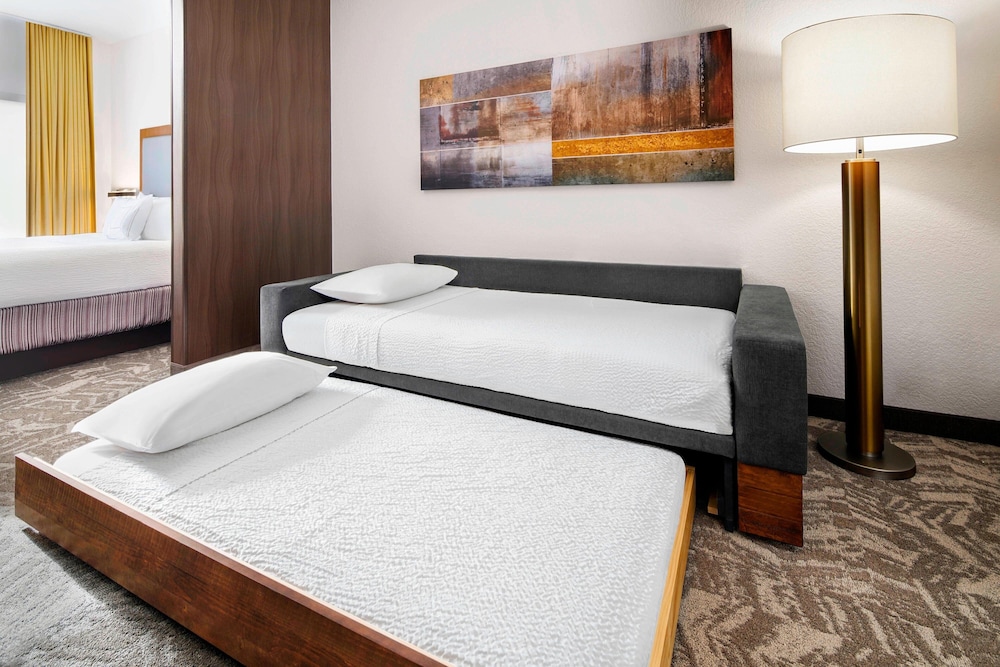 Suite, 1 King Bed with Sofa bed, Mountain View photo 2