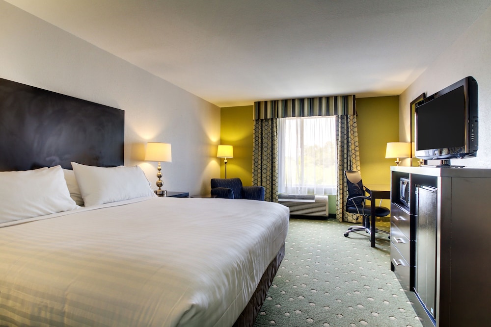 Suite, 1 King Bed, Accessible (Mobility, Roll-In Shower) - Photo 3