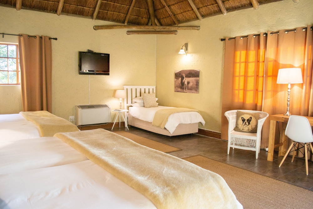 Family Suite photo 1