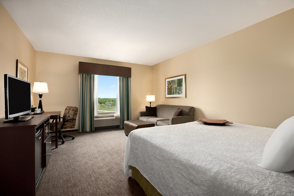 Room, 1 King Bed with Sofa bed, Accessible (Mobility & Hearing, 3x3 Shower)