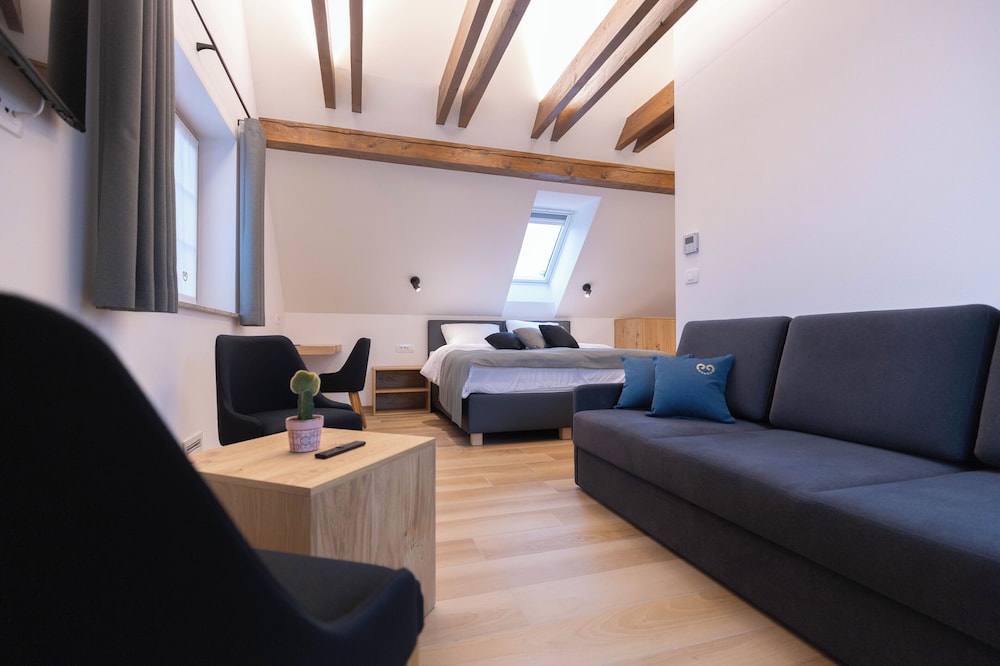 Superior Apartment - Photo 8