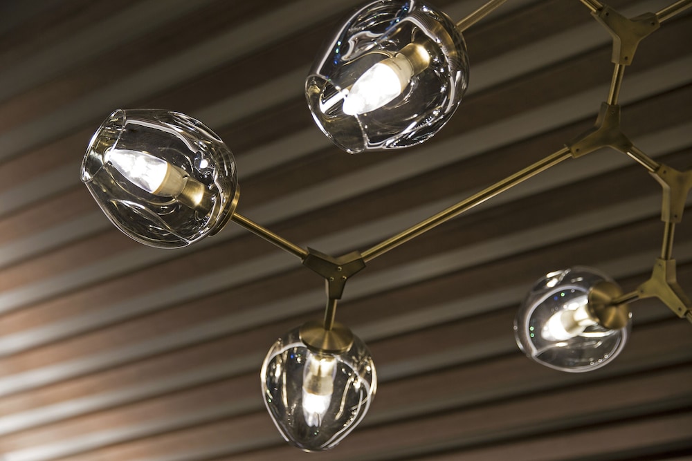 One Bedroom Suite photo 2