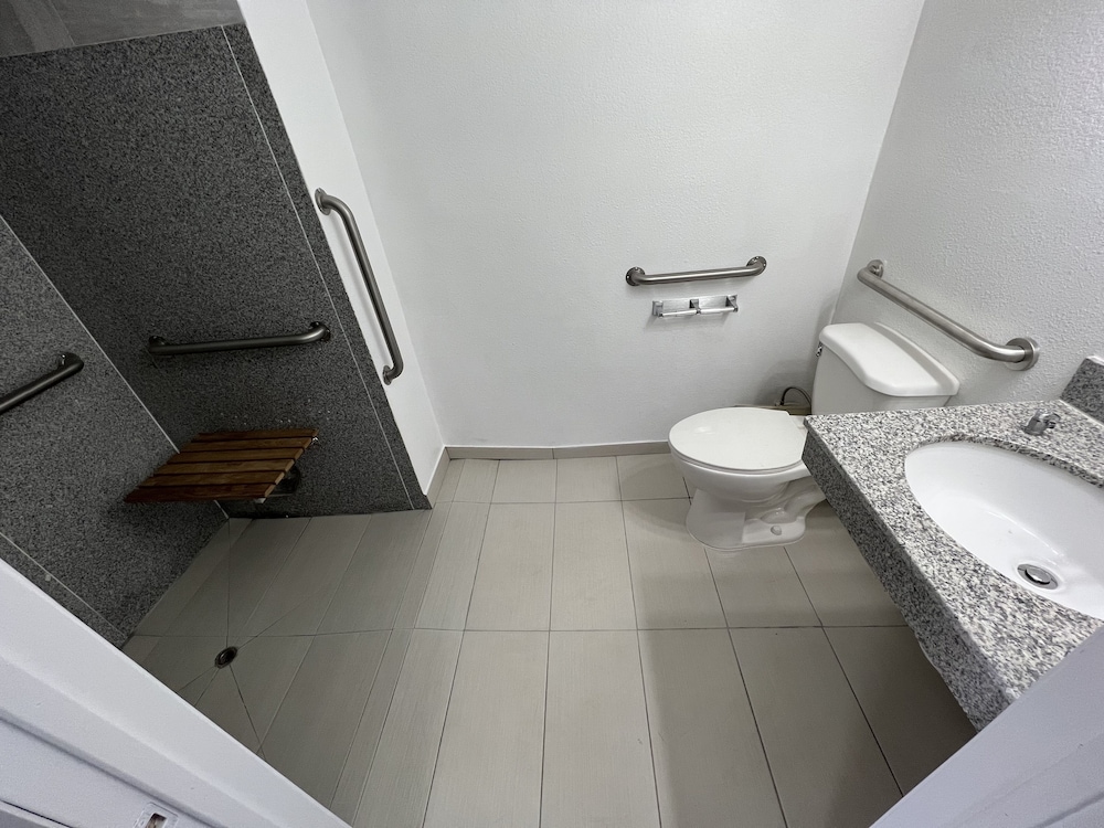 Room, 1 King Bed, Accessible, Non Smoking (Mobility/Hearing, Roll-In Shower) - Photo 6