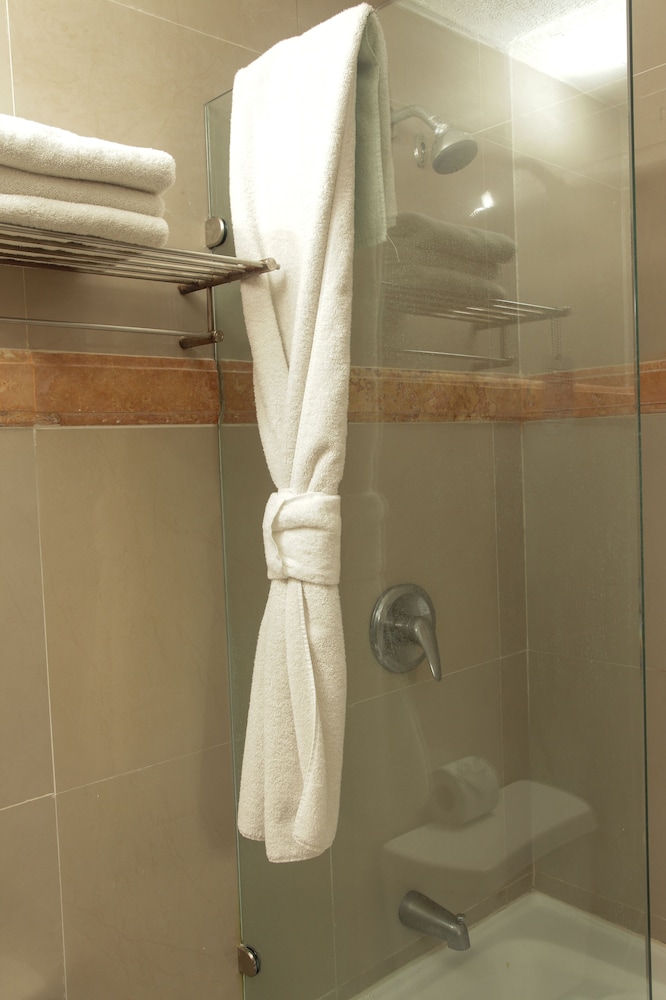 Master Suite, 2 Bedroom, Kitchenette, Bathtub - Photo 9