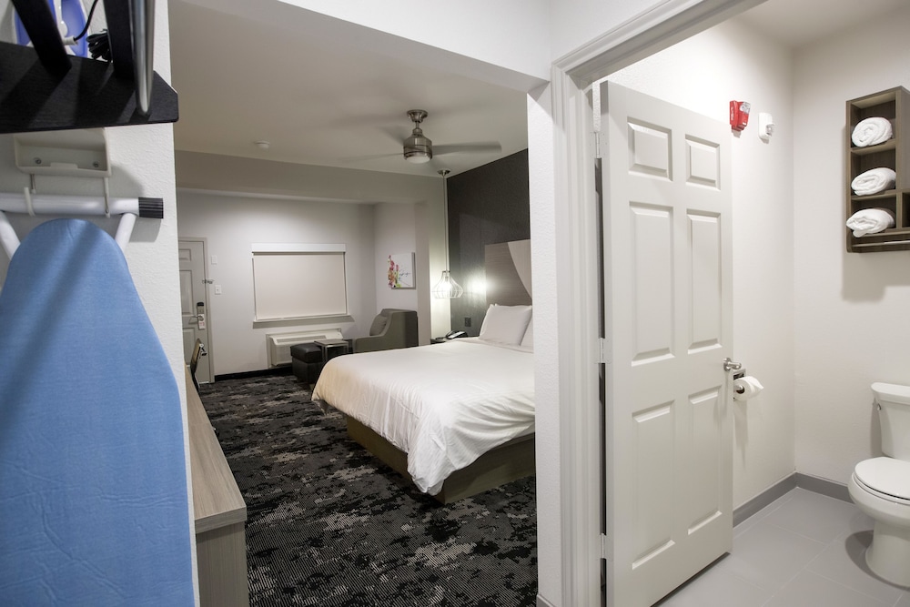Luxury Single Room, 1 King Bed, Non Smoking