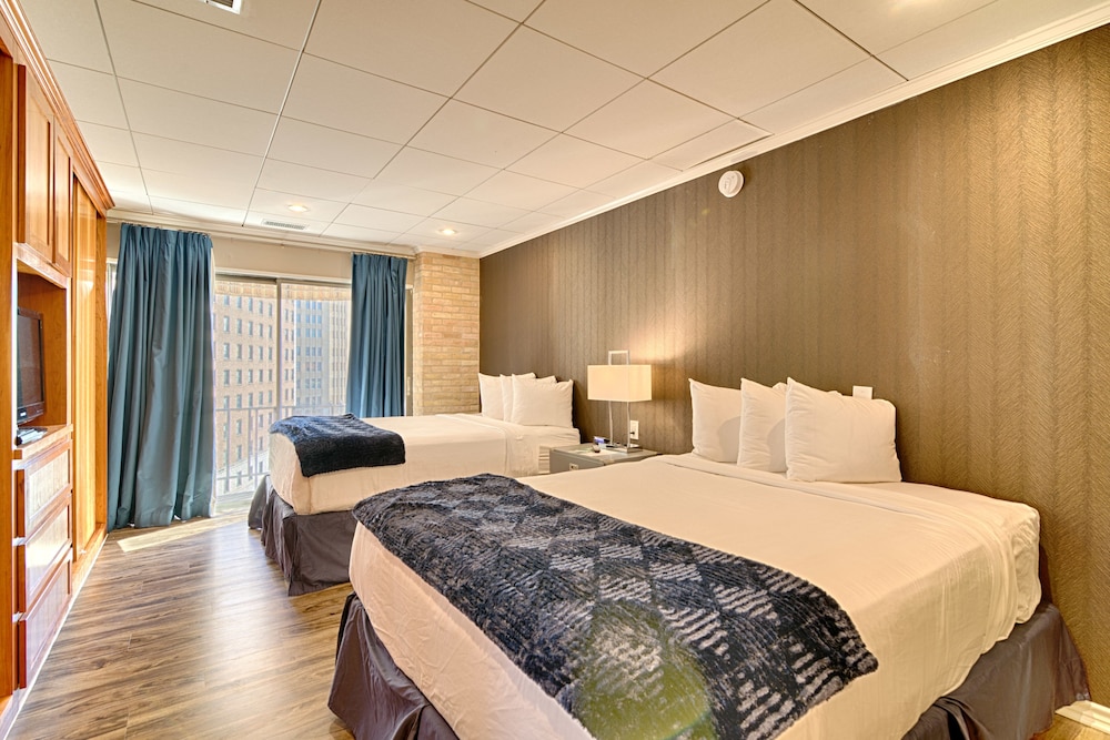Apartment Suite - Photo 4