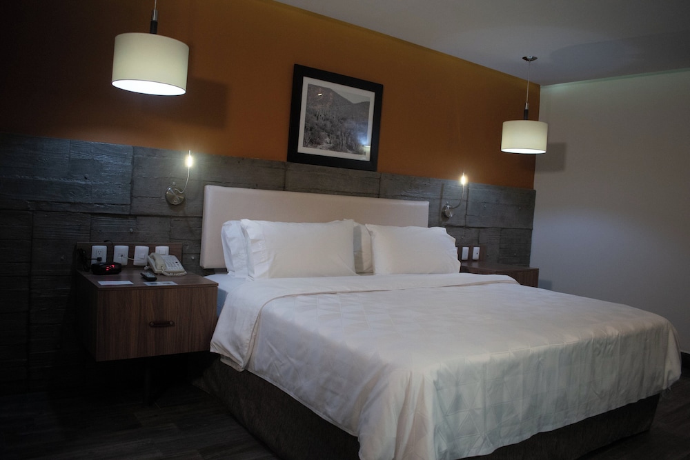 Standard Room, 1 King Bed, Microwave (Minifridge Main Tower) - Photo 12