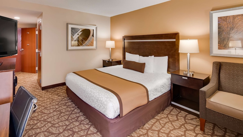 Standard Room, 1 King Bed, Accessible, Non Smoking (Walk-in Shower)