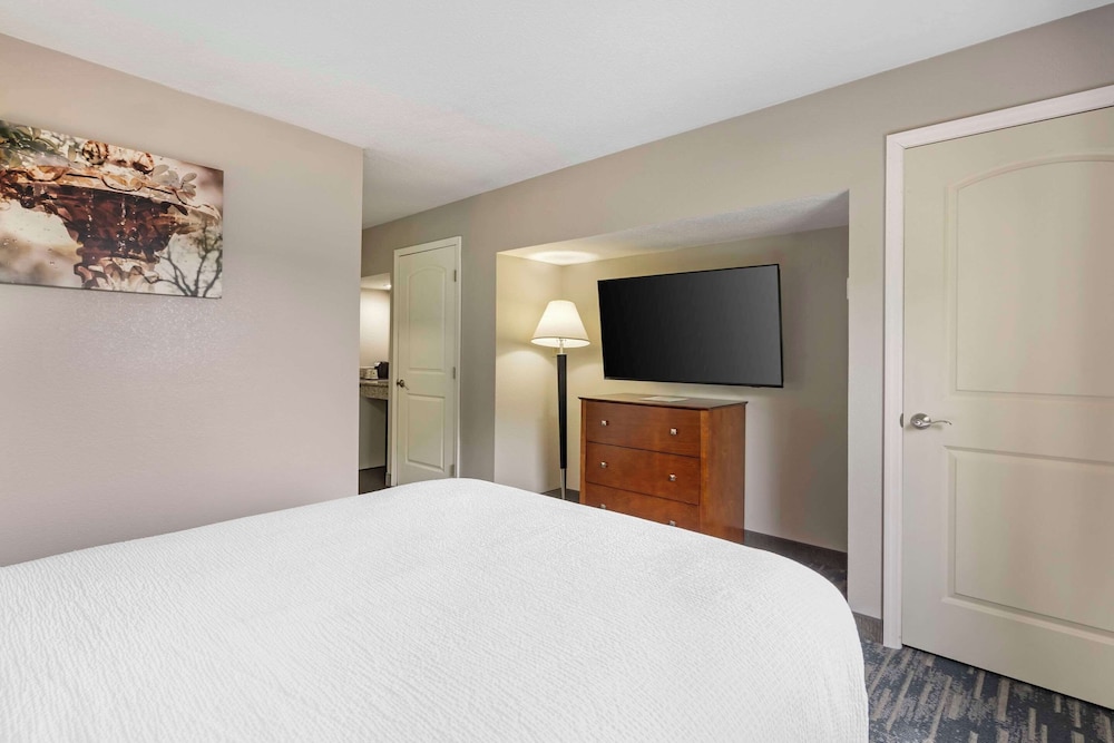 Suite, 1 Queen Bed, Accessible, Non Smoking - Photo 4