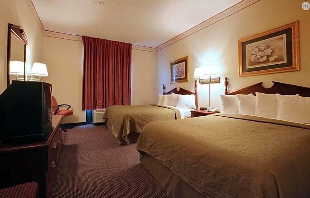 Suite - Photo 2
