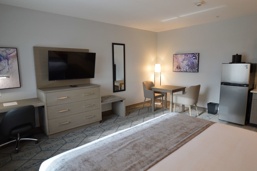 Suite, 1 King Bed, Accessible, Refrigerator & Microwave (Walk-in Shower;with Sofabed) - Photo 3