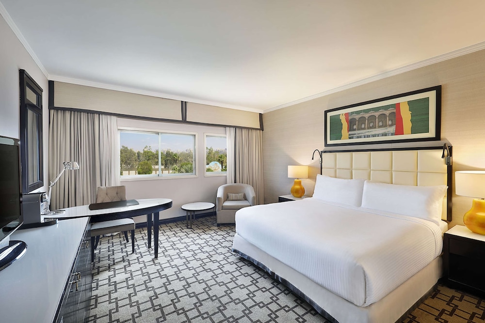 Room, 1 King Bed