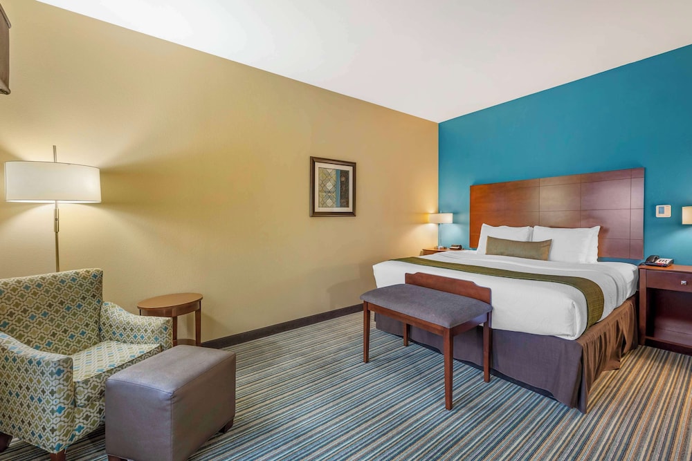 Standard Room, 1 King Bed, Non Smoking, Refrigerator & Microwave
