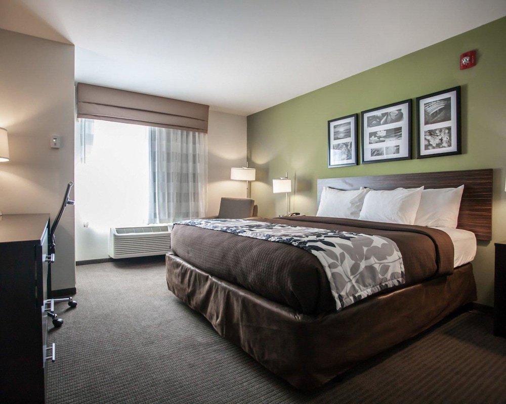 Standard Room, 1 King Bed, Non Smoking photo 3