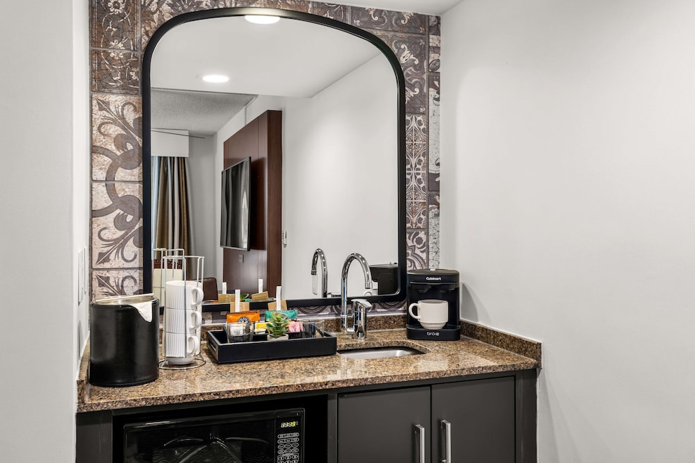 Room, 1 King Bed, Non Smoking photo 3