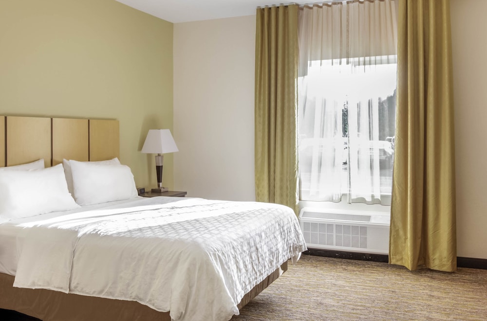 Candlewood Suites - Brighton by IHG, Billede 4