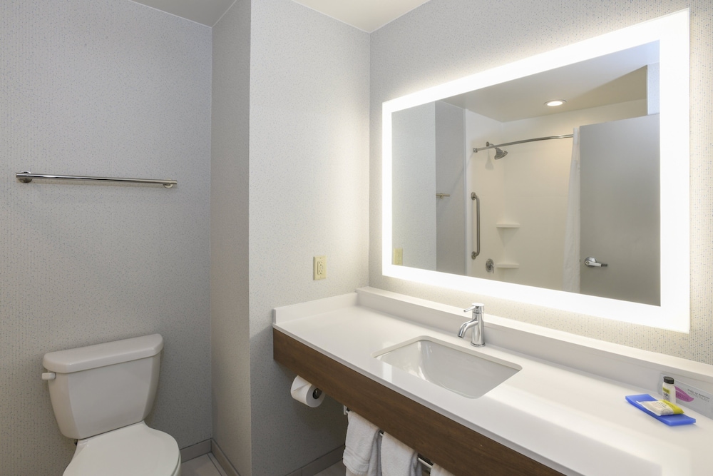 Suite, 1 King Bed, Accessible (Mobility Tran Shwr) - Photo 6