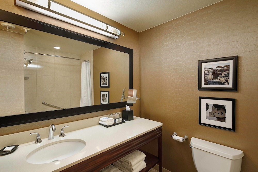 Premium Suite, 1 King Bed with Sofa bed - Photo 4