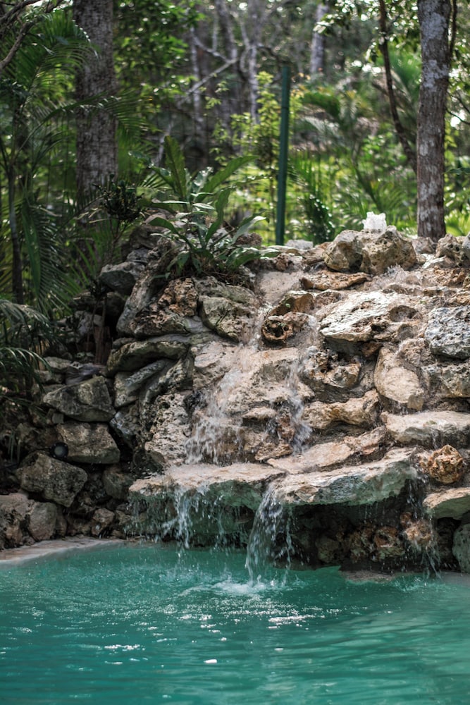 Mayan Gods Cabins - Photo 7
