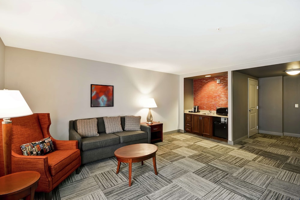 Suite, 1 King Bed, Accessible - Photo 4