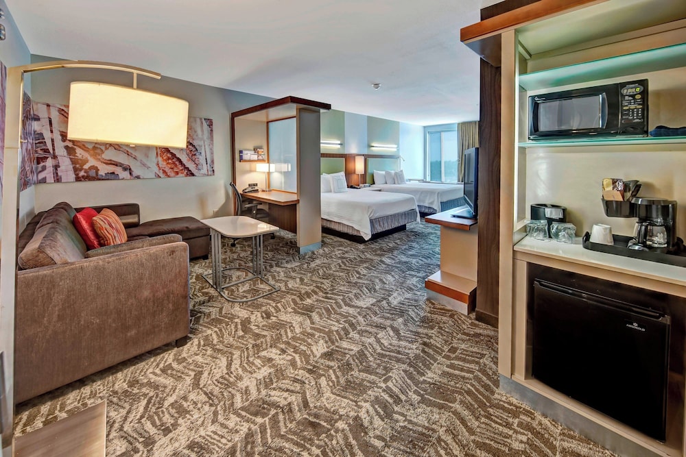 Studio, Multiple Beds (Mobility/Hearing Access, Roll-In Shwr) photo 1