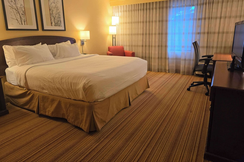 Room, 1 King Bed, Accessible, Non Smoking - Photo 7