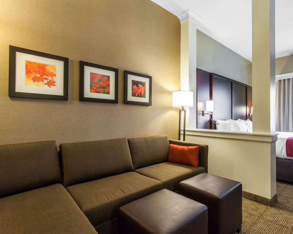 Comfort Suites-Youngstown North, Billede 8