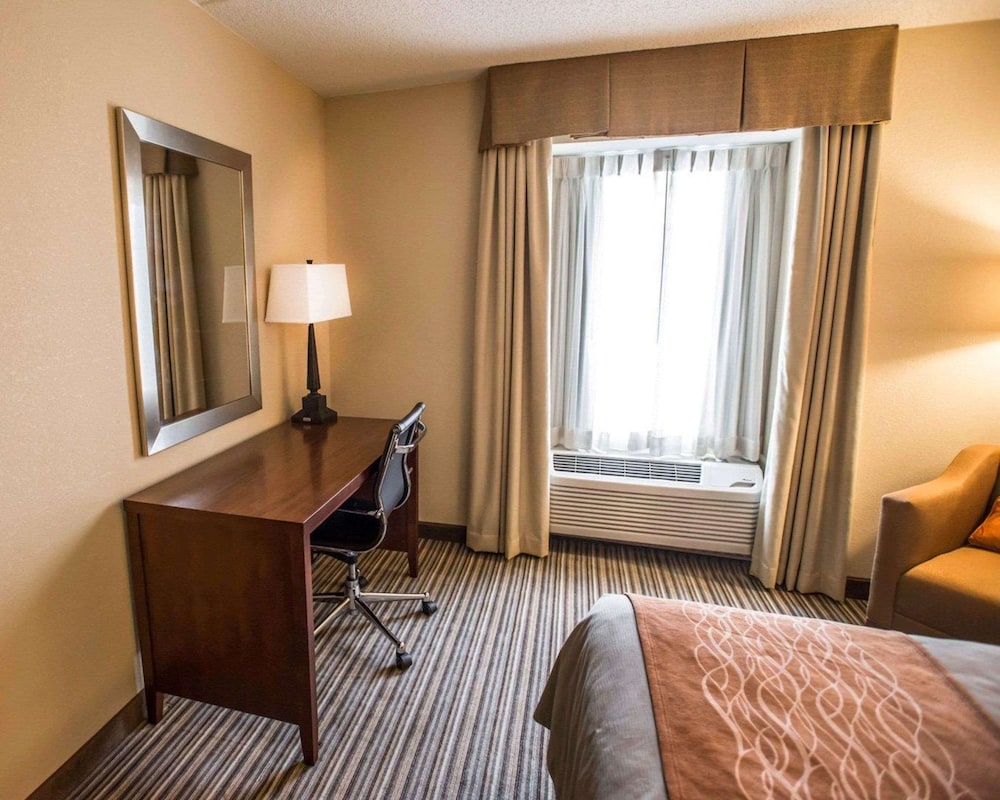 Standard Room, Multiple Beds, Non Smoking - Photo 6