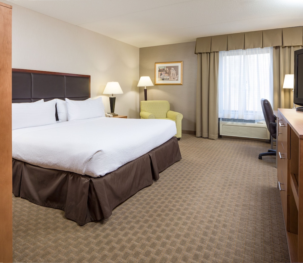 Standard Room, 1 King Bed, Accessible (Mobility, Accessible Tub) - Photo 9