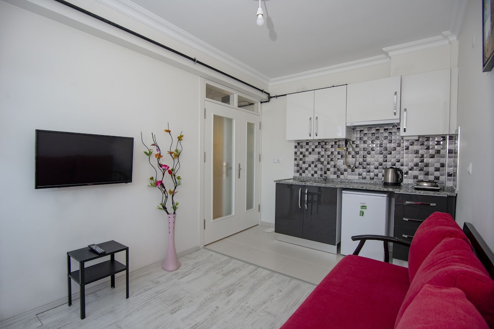 Standard Apartment photo 2