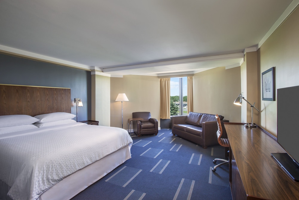 Deluxe Room, 1 King Bed with Sofa bed - Photo 1