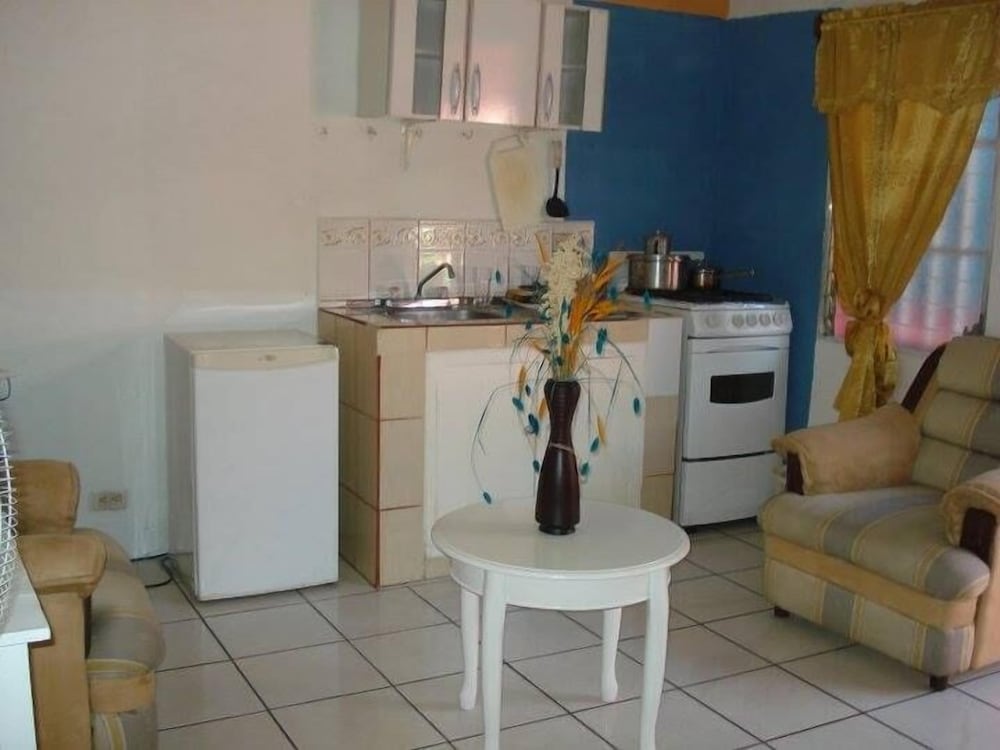 Apartment, 1 Bedroom photo 2