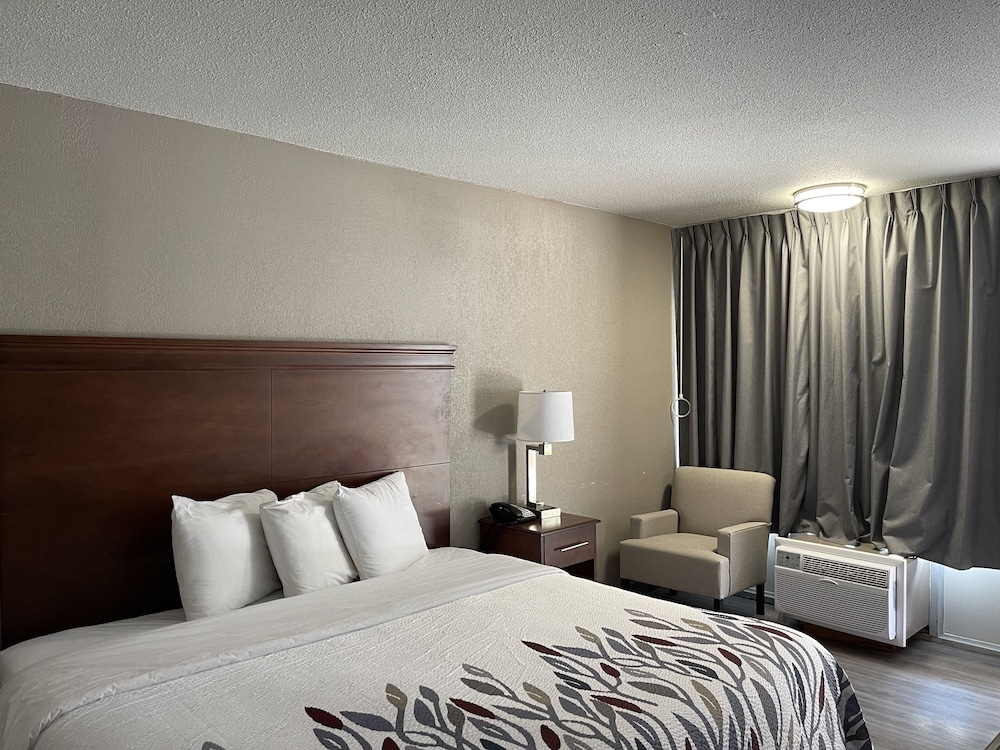 Deluxe Room, 1 King Bed, Non Smoking (Roll-In Shower) photo 1