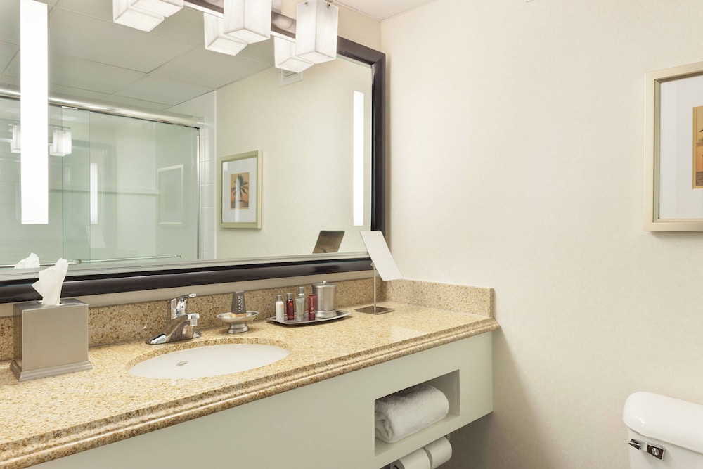 Suite, 1 Bedroom - Photo 7