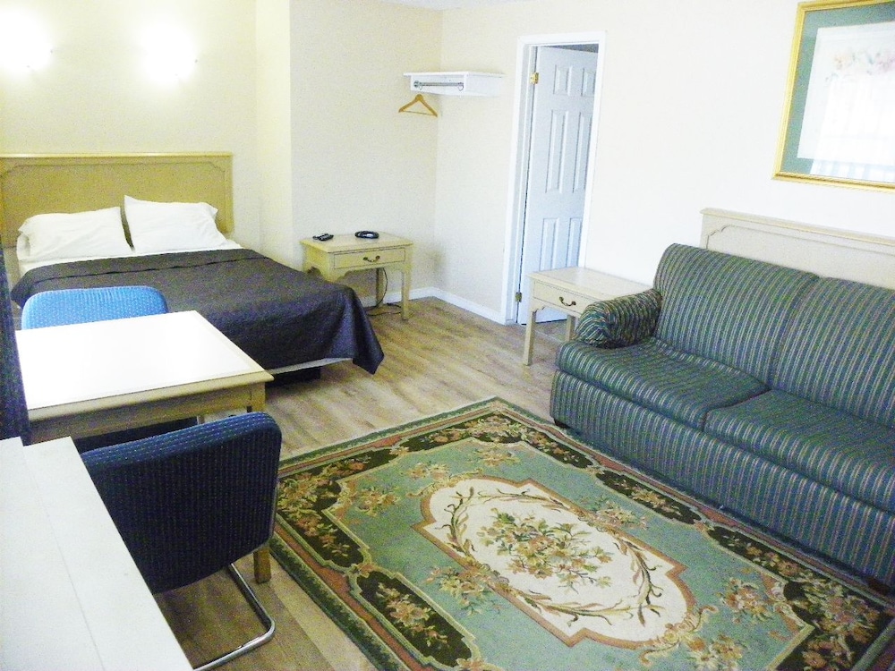 Studio with Sofa Bed and Kitchen photo 2