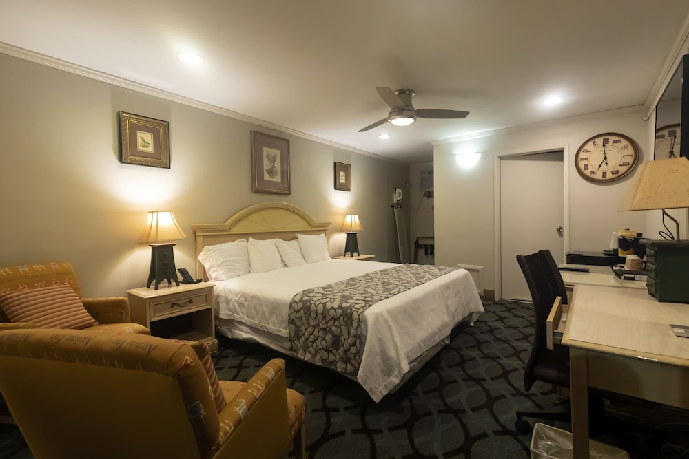 Traditional Room, 1 King Bed