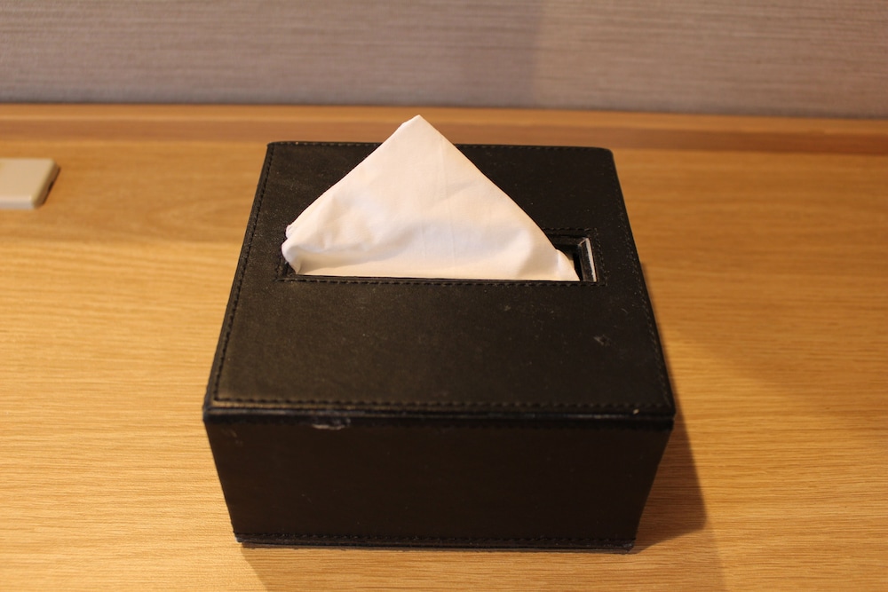 Deluxe Twin Room, Non Smoking (2 beds for 3 people) - Photo 10