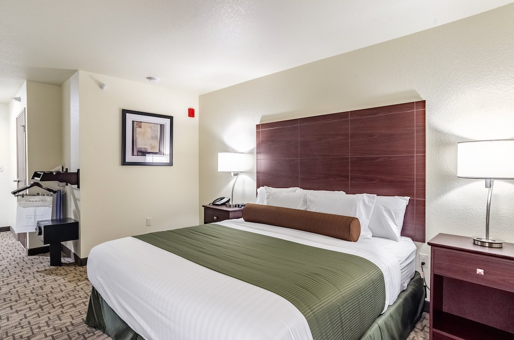 Room, 1 King Bed, Accessible, Non Smoking photo 1