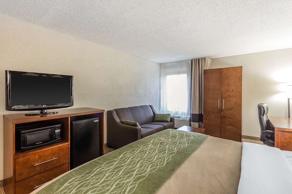 Standard Room, 1 King Bed, Non Smoking - Photo 6