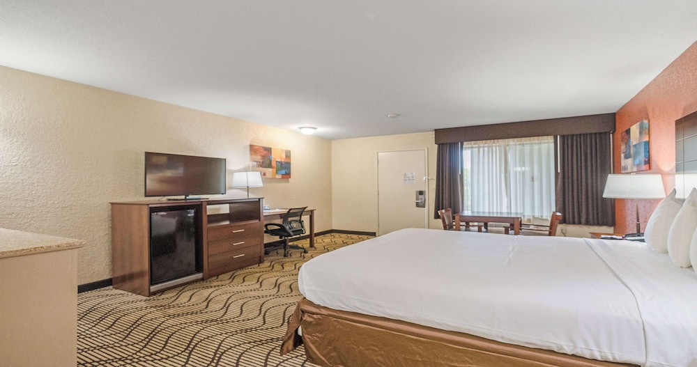 Deluxe Room, 1 King Bed, Non Smoking, Refrigerator & Microwave - Photo 9