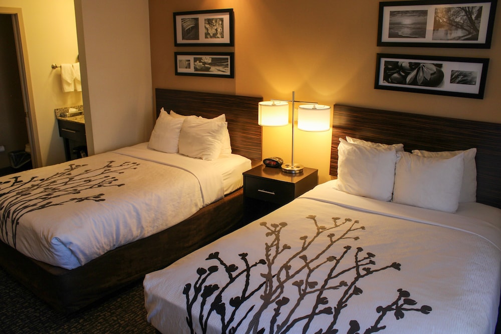 Room, 2 Double Beds, Non Smoking (No Pets) - Photo 3