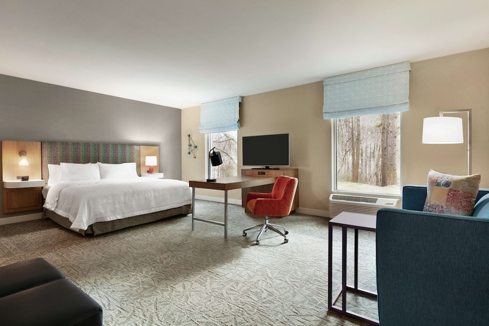 Room, 1 King Bed, Accessible (Mobility & Hearing) photo 1