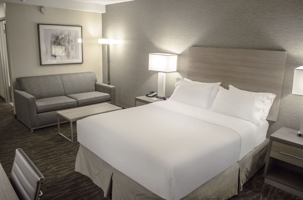 Premium Room, 1 King Bed, Roll-in Shower (Communications Accessible) photo 2