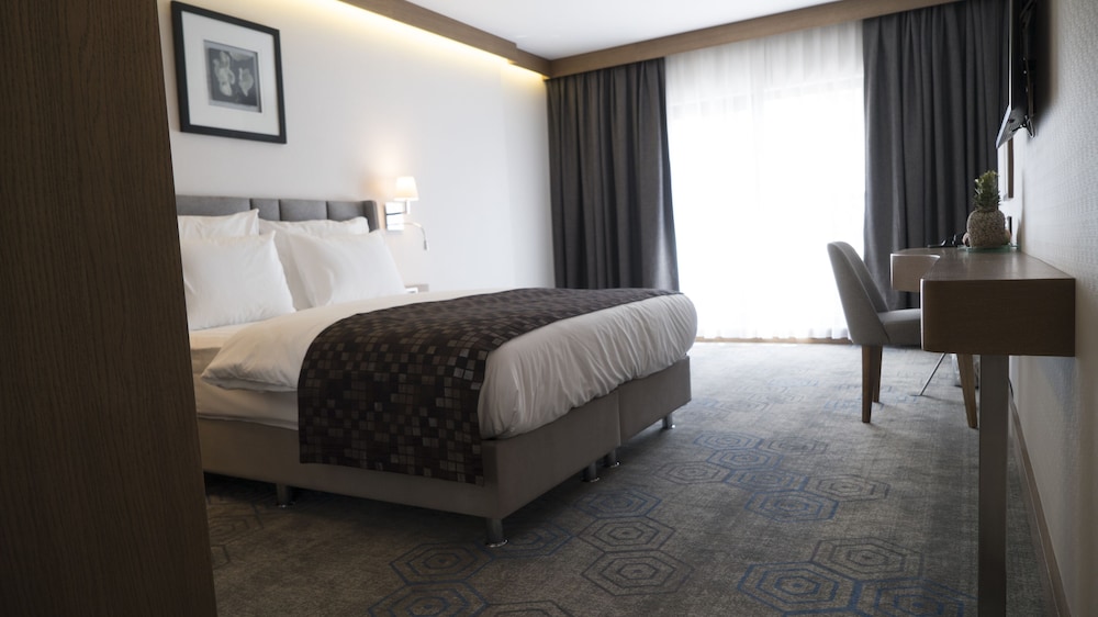 Standard Double or Twin Room, 1 Queen Bed photo 2