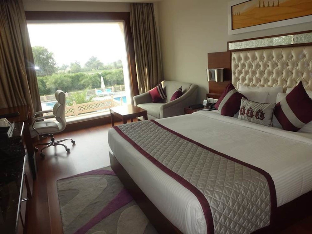 Executive Room photo 2