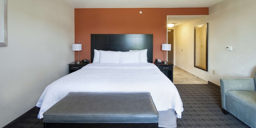Room, 1 King Bed, Accessible, Non Smoking