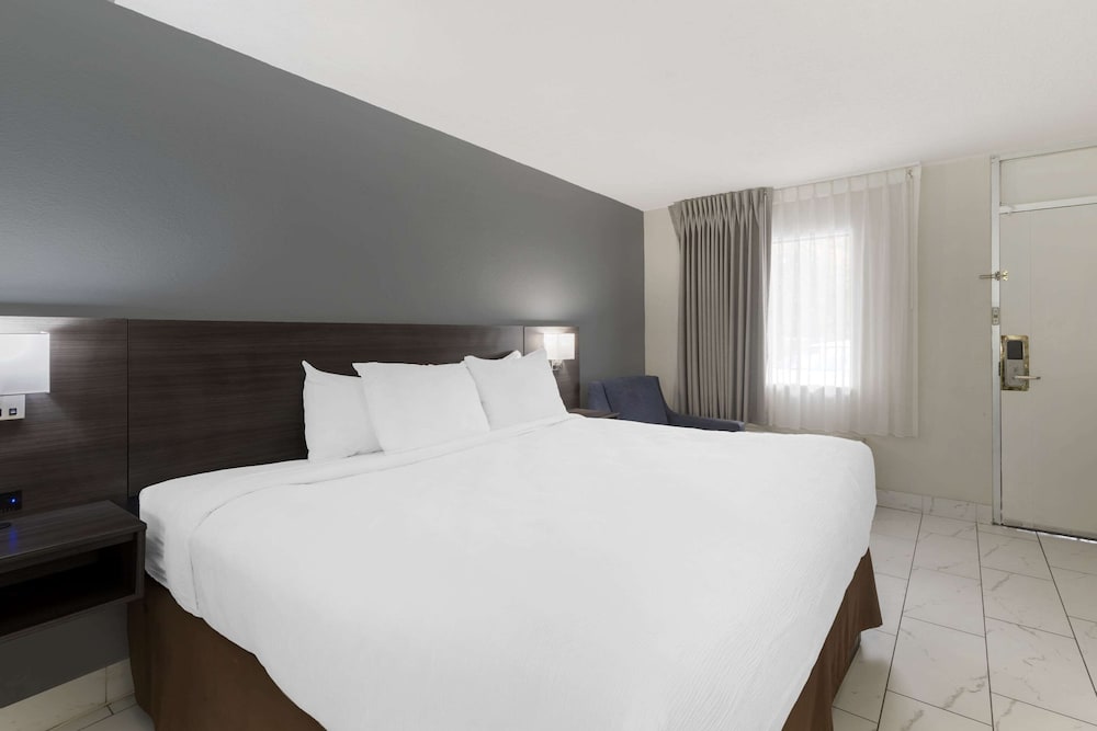 Suite, 1 King Bed, Non Smoking photo 1