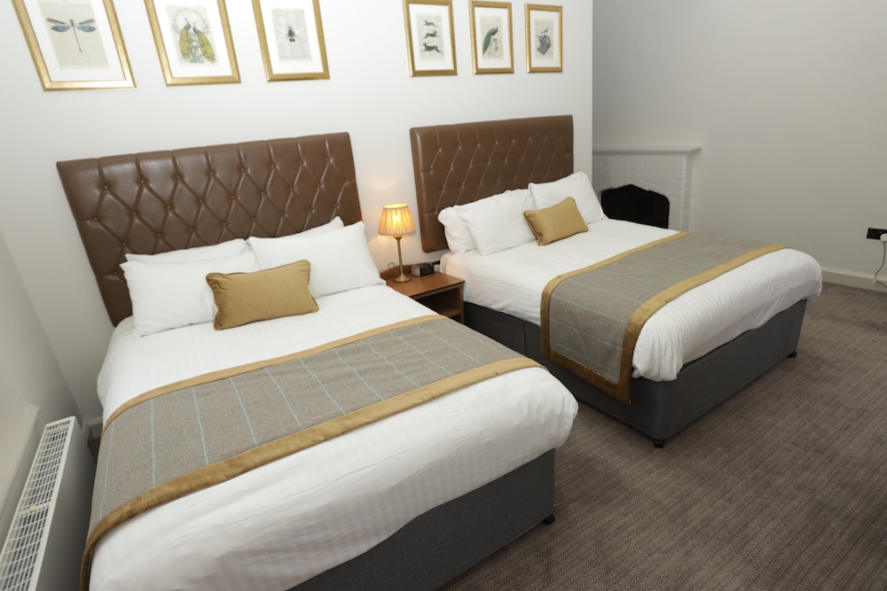 Standard Double Room, 2 Double Beds photo 2