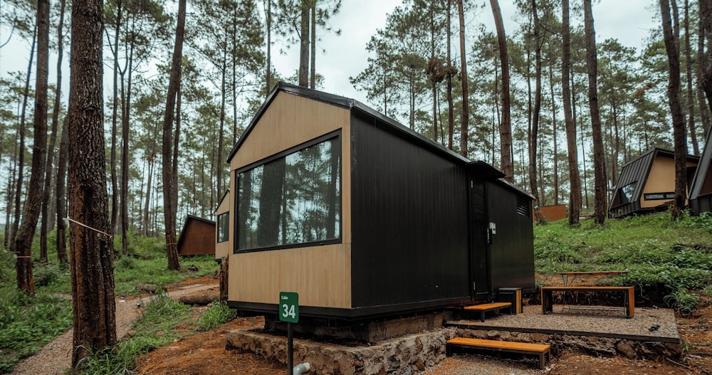 Executive Cabin photo 2
