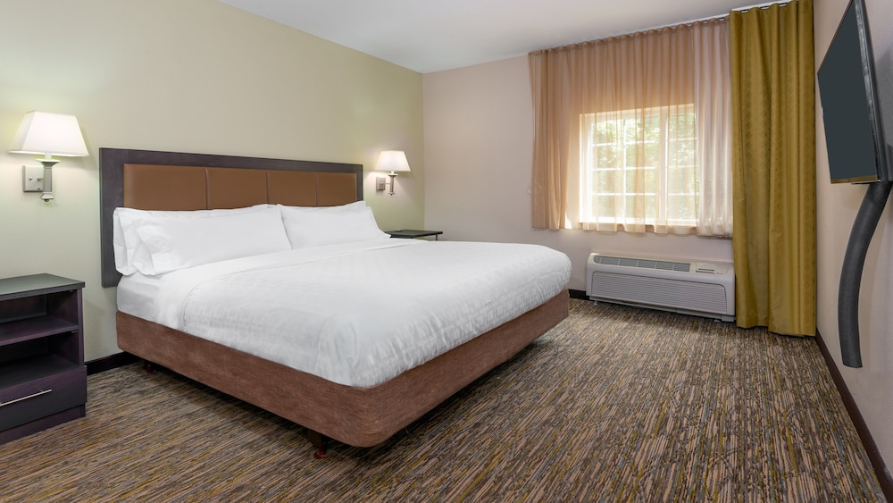 Suite, 1 King Bed with Sofa bed (Roll-In Shower) photo 1